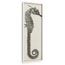Vintage Seahorse Ii - Vision Studio | Cuadro decorativo de Canvas Lab
