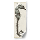 Vintage Seahorse Ii - Vision Studio | Cuadro decorativo de Canvas Lab