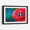 Amapola a detalle | Cuadro decorativo de Canvas Lab