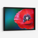 Amapola a detalle | Cuadro decorativo de Canvas Lab