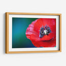 Amapola a detalle | Cuadro decorativo de Canvas Lab