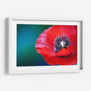 Amapola a detalle | Cuadro decorativo de Canvas Lab