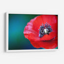 Amapola a detalle | Cuadro decorativo de Canvas Lab