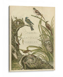 Santuario Para Pájaros - Nozeman | Cuadro decorativo de Canvas Lab