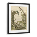 Santuario Para Pájaros - Nozeman | Cuadro decorativo de Canvas Lab