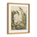 Santuario Para Pájaros - Nozeman | Cuadro decorativo de Canvas Lab