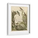 Santuario Para Pájaros - Nozeman | Cuadro decorativo de Canvas Lab