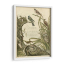 Santuario Para Pájaros - Nozeman | Cuadro decorativo de Canvas Lab