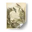 Santuario Para Pájaros - Nozeman | Cuadro decorativo de Canvas Lab