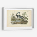 Audubons Louisiana Heron - John James Audubon | Cuadro decorativo de Canvas Lab