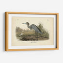 Audubons Blue Heron - John James Audubon | Cuadro decorativo de Canvas Lab