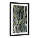 Cactus Espinoso - Rachel Perry | Cuadro decorativo de Canvas Lab