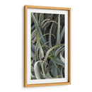 Cactus Espinoso - Rachel Perry | Cuadro decorativo de Canvas Lab