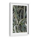 Cactus Espinoso - Rachel Perry | Cuadro decorativo de Canvas Lab