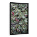 Tréboles De La Planta De Hielo - Rachel Perry | Cuadro decorativo de Canvas Lab