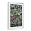 Tréboles De La Planta De Hielo - Rachel Perry | Cuadro decorativo de Canvas Lab