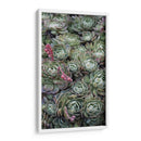 Tréboles De La Planta De Hielo - Rachel Perry | Cuadro decorativo de Canvas Lab