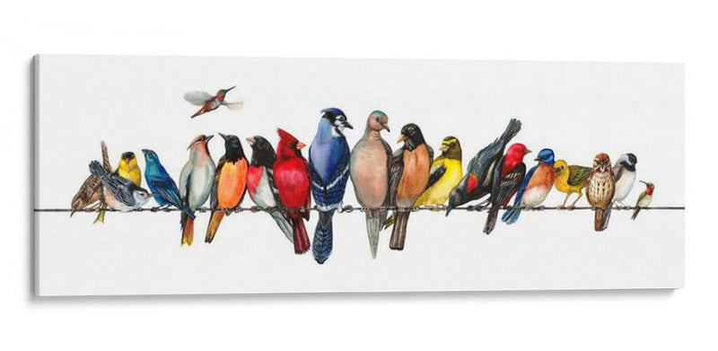 Menagerie De Pájaros Grandes - Wendy Russell | Cuadro decorativo de Canvas Lab