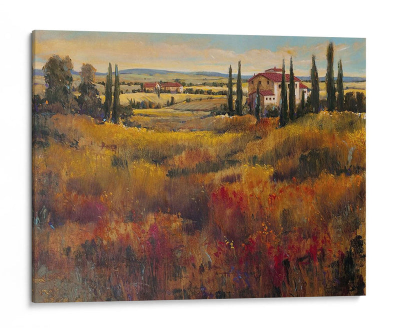 Toscana I - Tim OToole | Cuadro decorativo de Canvas Lab