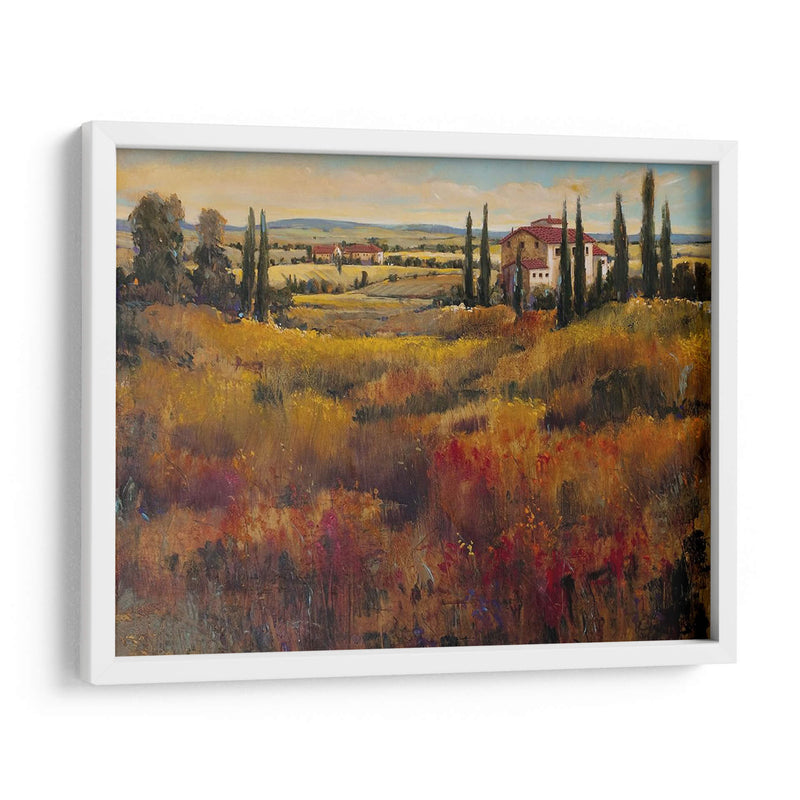 Toscana I - Tim OToole | Cuadro decorativo de Canvas Lab