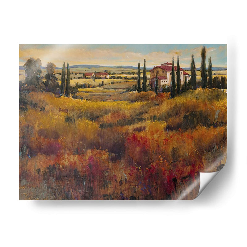 Toscana I - Tim OToole | Cuadro decorativo de Canvas Lab