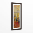 Bosque Vivo De Abedul I - Tim OToole | Cuadro decorativo de Canvas Lab
