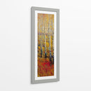 Bosque Vivo De Abedul I - Tim OToole | Cuadro decorativo de Canvas Lab