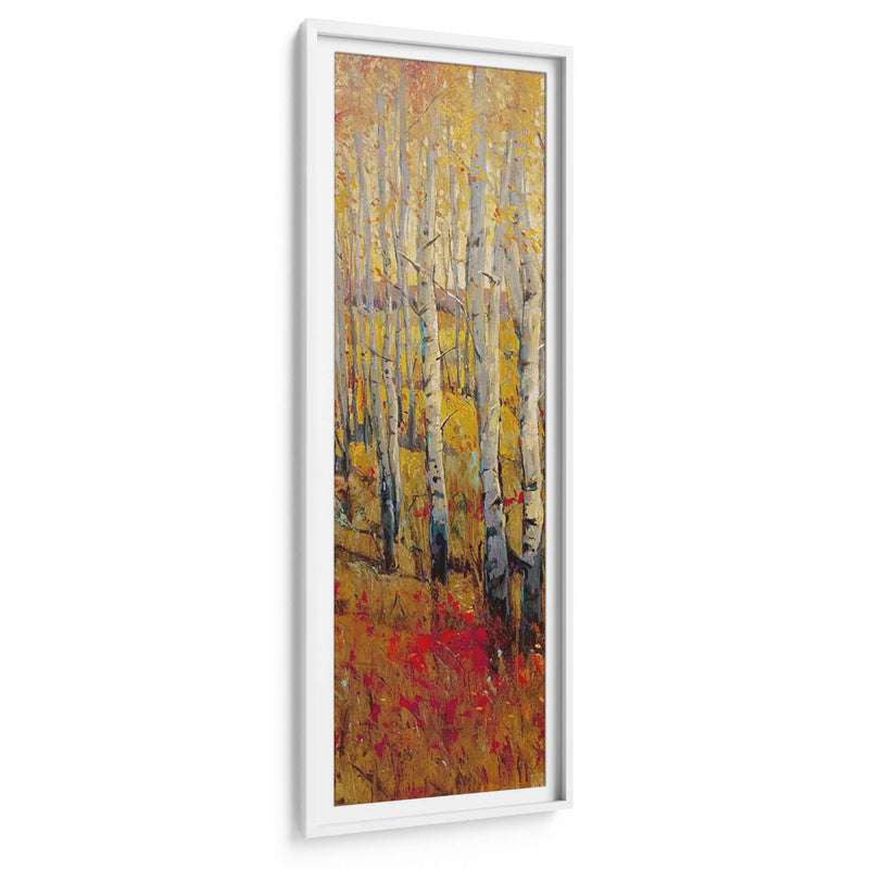 Bosque Vivo De Abedul I - Tim OToole | Cuadro decorativo de Canvas Lab