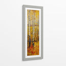 Forest Vivid Birch Ii - Tim OToole | Cuadro decorativo de Canvas Lab