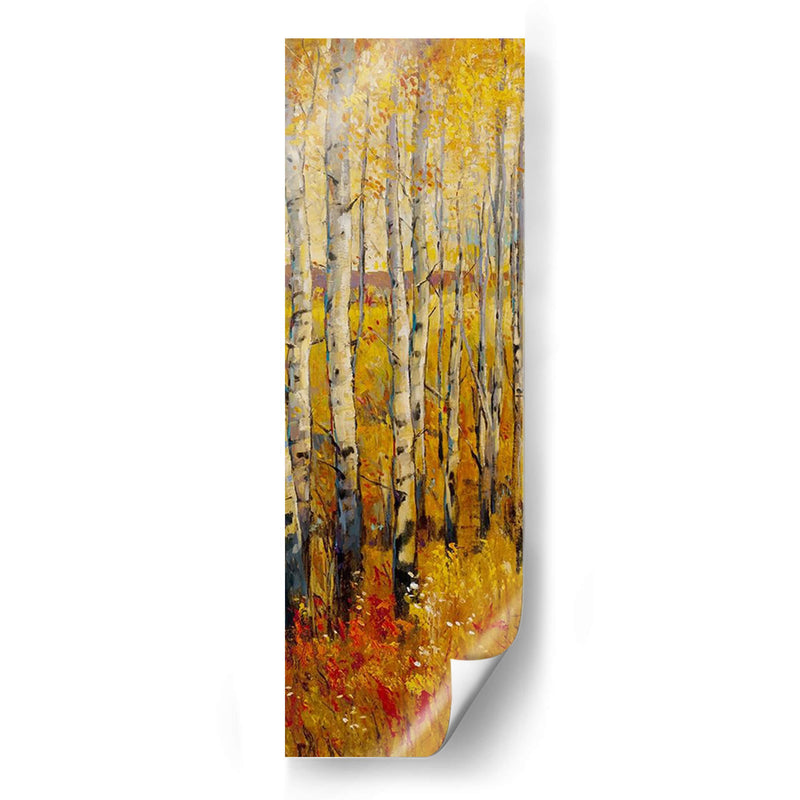 Forest Vivid Birch Ii - Tim OToole | Cuadro decorativo de Canvas Lab