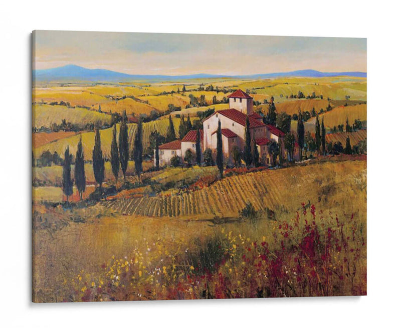 Toscana Iii - Tim OToole | Cuadro decorativo de Canvas Lab