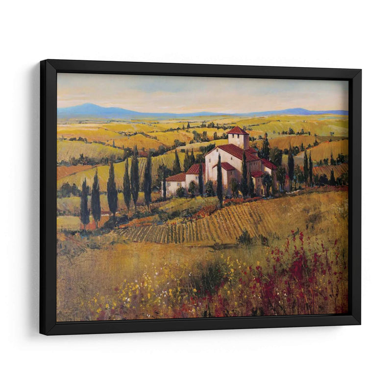 Toscana Iii - Tim OToole | Cuadro decorativo de Canvas Lab