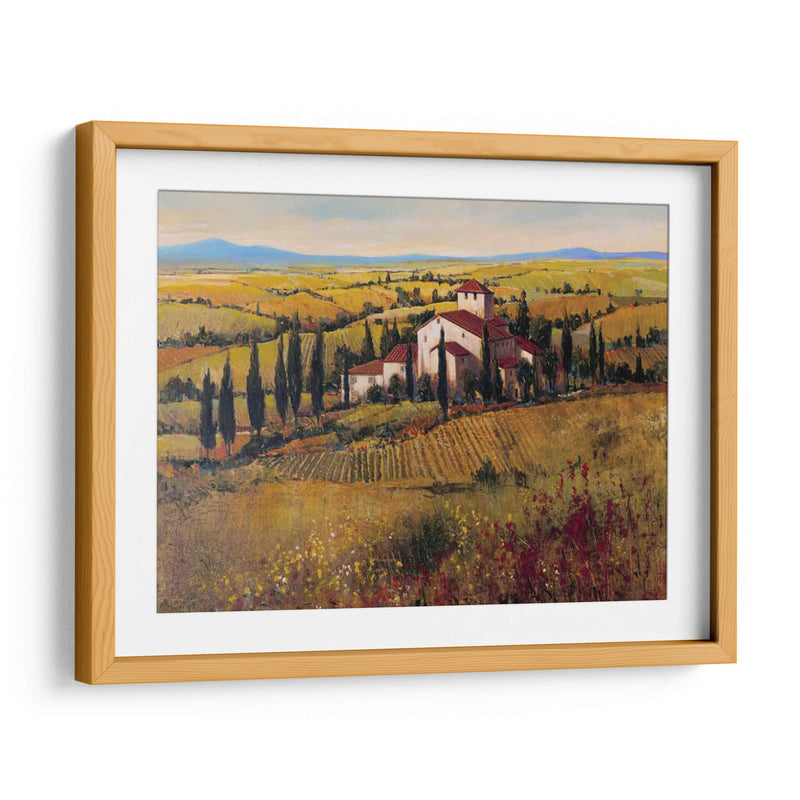 Toscana Iii - Tim OToole | Cuadro decorativo de Canvas Lab