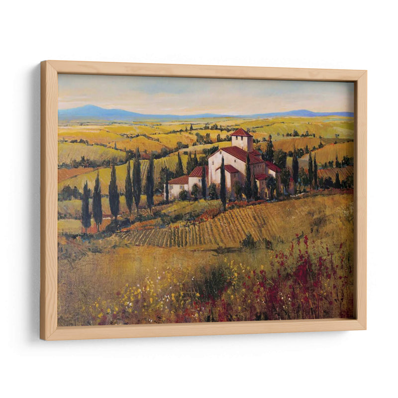 Toscana Iii - Tim OToole | Cuadro decorativo de Canvas Lab