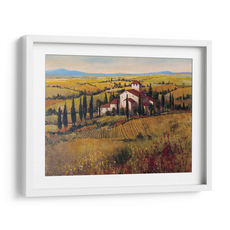 Toscana Iii - Tim OToole | Cuadro decorativo de Canvas Lab