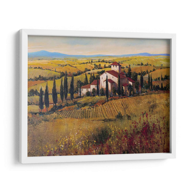 Toscana Iii - Tim OToole | Cuadro decorativo de Canvas Lab