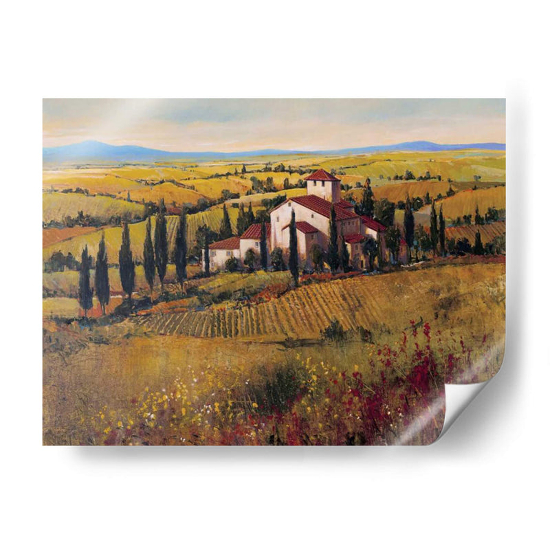 Toscana Iii - Tim OToole | Cuadro decorativo de Canvas Lab