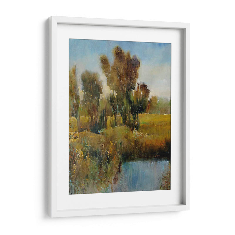 Campo Sunkissed I - Tim OToole | Cuadro decorativo de Canvas Lab