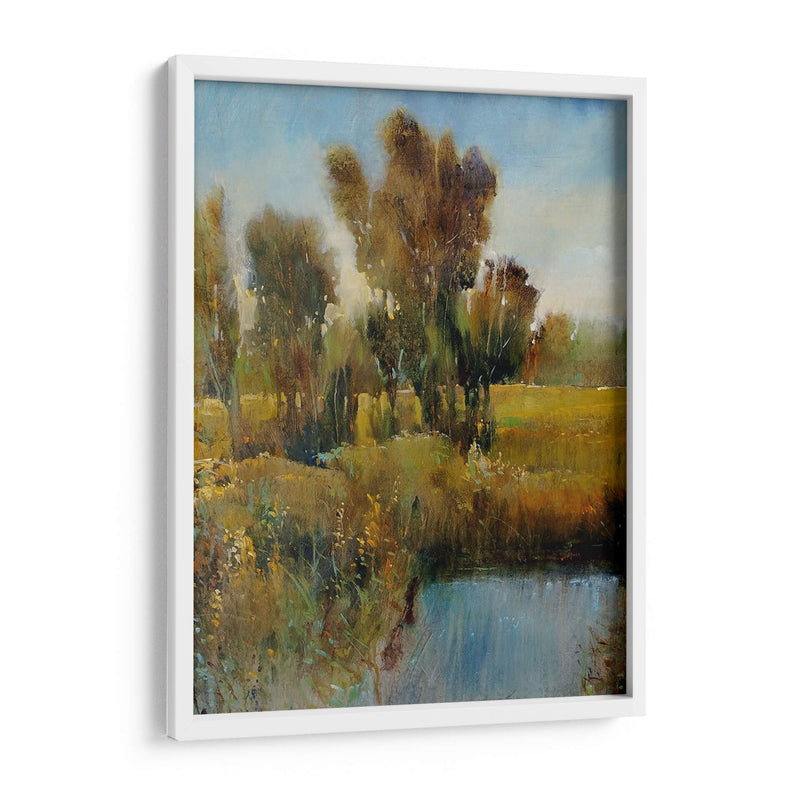 Campo Sunkissed I - Tim OToole | Cuadro decorativo de Canvas Lab