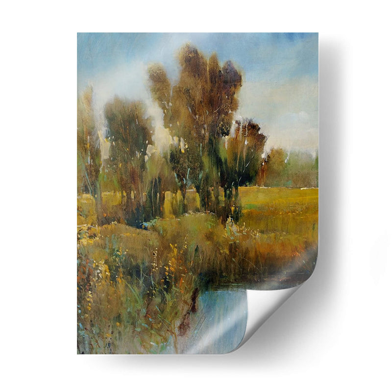 Campo Sunkissed I - Tim OToole | Cuadro decorativo de Canvas Lab