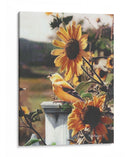 Una Mañana Dorada - Kevin Daniel | Cuadro decorativo de Canvas Lab