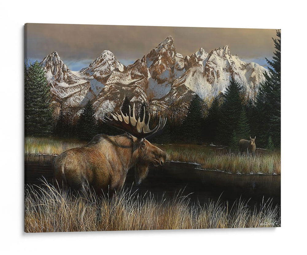Teton Majestad - Kevin Daniel | Cuadro decorativo de Canvas Lab