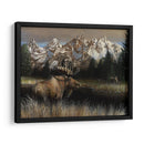 Teton Majestad - Kevin Daniel | Cuadro decorativo de Canvas Lab