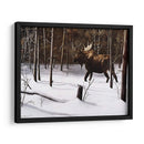 Forraje De Invierno - Kevin Daniel | Cuadro decorativo de Canvas Lab