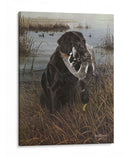 Un Amigo En El Pantano - Kevin Daniel | Cuadro decorativo de Canvas Lab