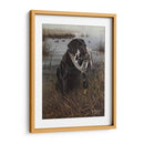 Un Amigo En El Pantano - Kevin Daniel | Cuadro decorativo de Canvas Lab