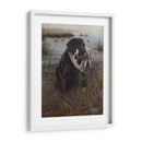 Un Amigo En El Pantano - Kevin Daniel | Cuadro decorativo de Canvas Lab