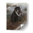 Un Amigo En El Pantano - Kevin Daniel | Cuadro decorativo de Canvas Lab