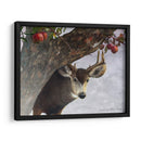 Ciervos De Manzana - Chris Vest | Cuadro decorativo de Canvas Lab