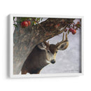 Ciervos De Manzana - Chris Vest | Cuadro decorativo de Canvas Lab